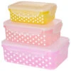 Rice - Plastic Rectangular Food Boxes - Food Storage