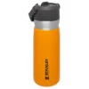 Stanley - Iceflow Flip Straw Water Bottle - Insulated Bottle