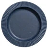 United By Blue - Stoneware Dinner Plate - Food Storage